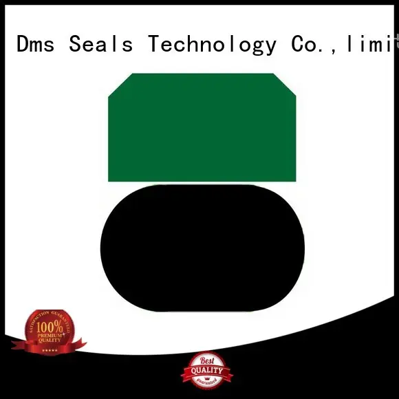 piston piston seals hydraulic nbrfkm DMS Seal Manufacturer company 1