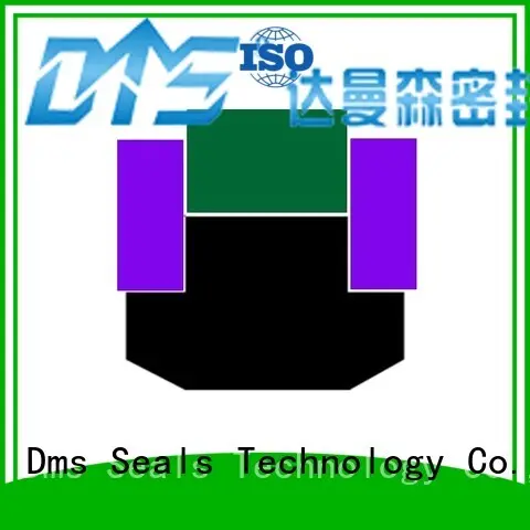 ptfe pneumatic piston seals seal DMS Seal Manufacturer company 1