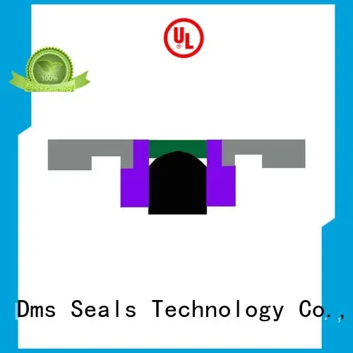 Custom nbrfkm piston seals hydraulic DMS Seal Manufacturer 1