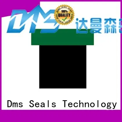 pneumatic piston seals hydraulic oring piston DMS Seal Manufacturer Brand company 1