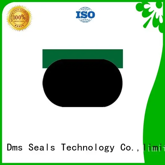 pneumatic piston seals nbrfkm seal DMS Seal Manufacturer Brand piston seals 1