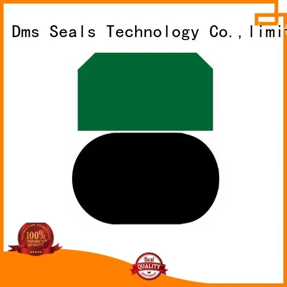 piston nbrfkm oring piston seals seal DMS Seal Manufacturer 1
