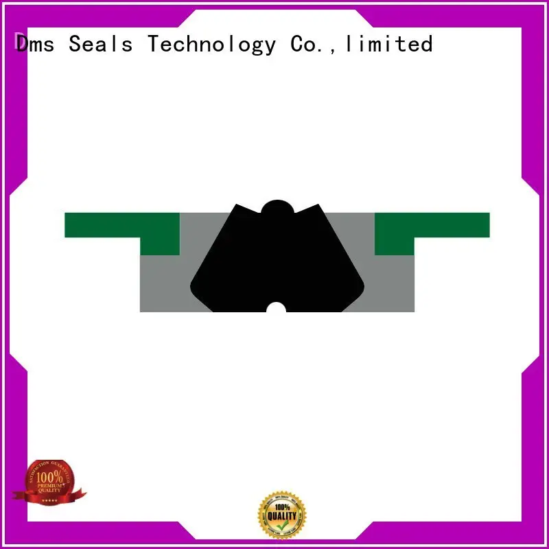 DMS Seal Manufacturer Brand piston seal pneumatic piston seals hydraulic 1