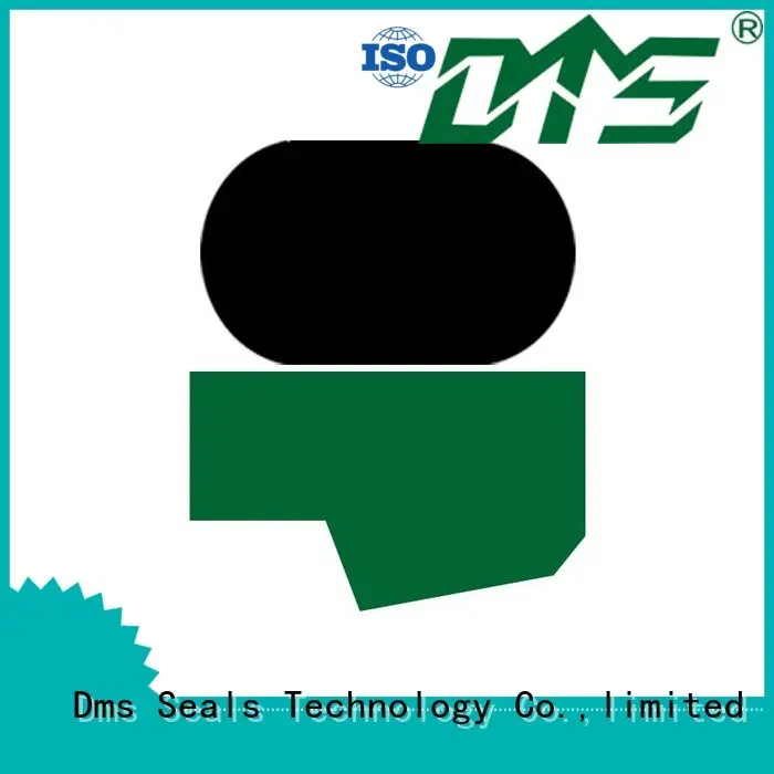 hydraulic ptfe rod seals oring DMS Seal Manufacturer Brand 1