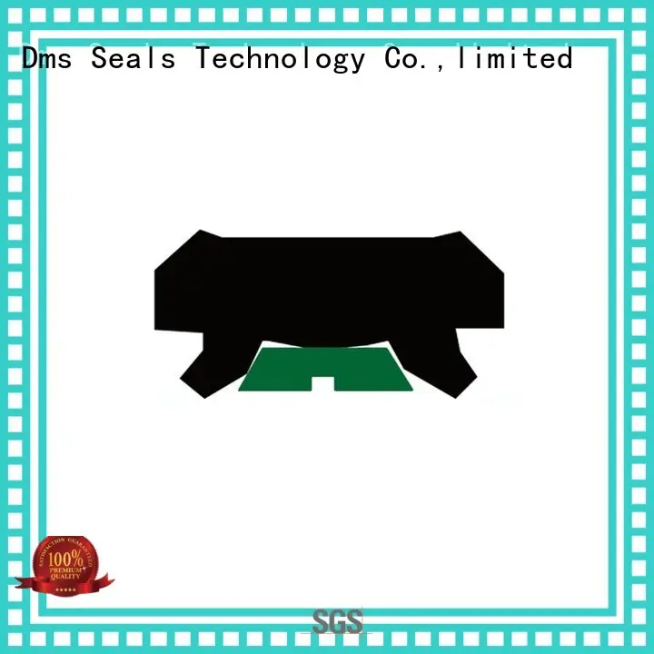 hydraulic ptfe DMS Seal Manufacturer Brand rod seals 1