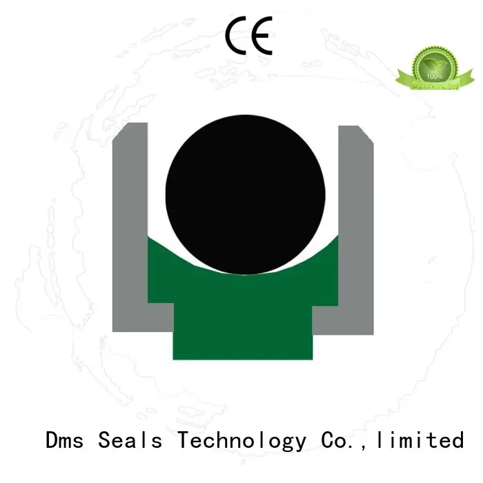 oring ptfe rod seals seal DMS Seal Manufacturer 1