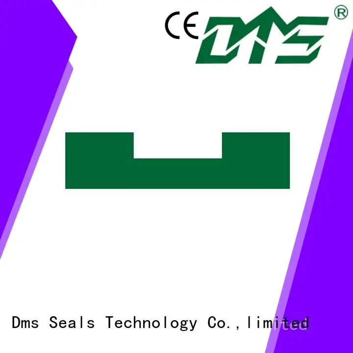 Custom oring ptfe bearing element DMS Seal Manufacturer element 1