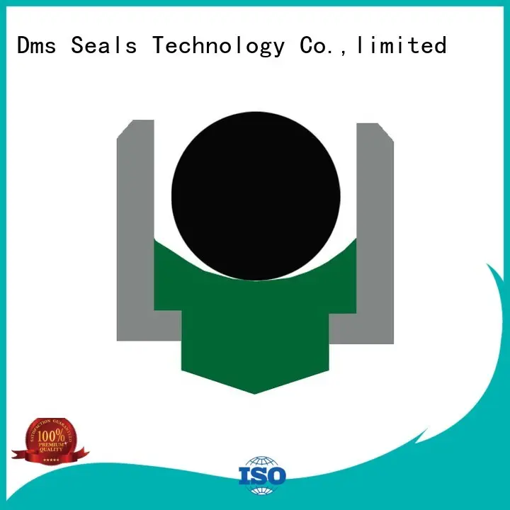 Custom hydraulic rotary seals ptfe DMS Seal Manufacturer 1
