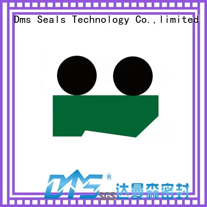 seal ptfepu scraper seals hydraulic ptfe DMS Seal Manufacturer company 1
