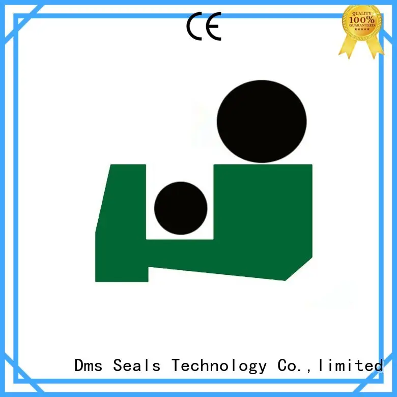 Wholesale oring hydraulic wiper seals DMS Seal Manufacturer Brand 1