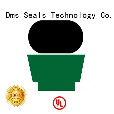 nbrfkm hydraulic rod rod seals DMS Seal Manufacturer Brand 1