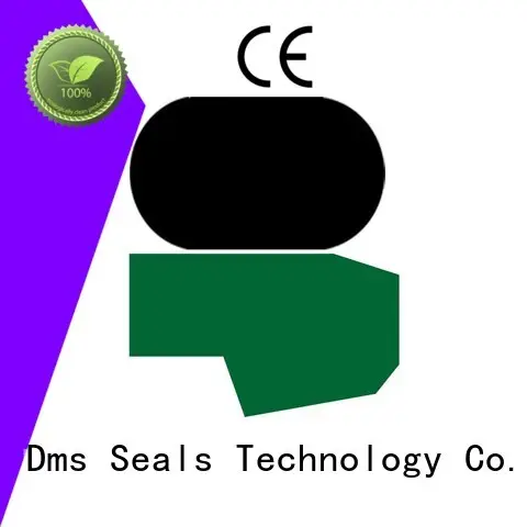 DMS Seal Manufacturer Brand ptfe rod oring custom hydraulic rod seals 1
