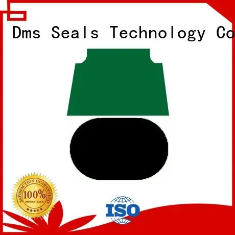 DMS Seal Manufacturer Brand ptfe hydraulic oring seal piston seals 1