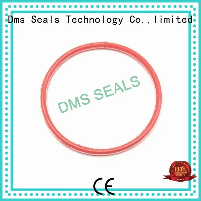 oil seal ring ptfe seal hydraulic DMS Seal Manufacturer Brand o-ring seal 1