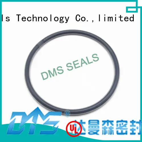 Custom ptfe spring o-ring seal DMS Seal Manufacturer oring 1