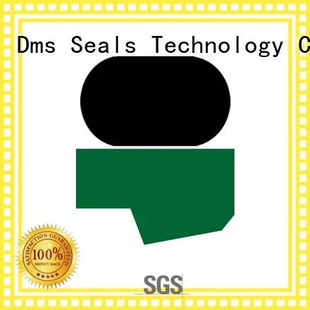 DMS Seal Manufacturer Brand nbrfkm hydraulic oring rod seals manufacture 1