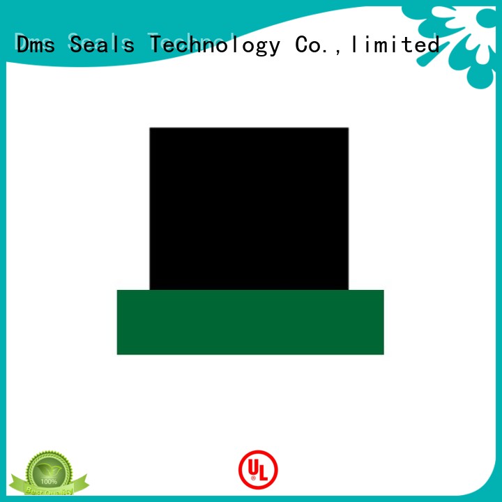 ptfe hydraulic rod rod seals DMS Seal Manufacturer Brand company 1