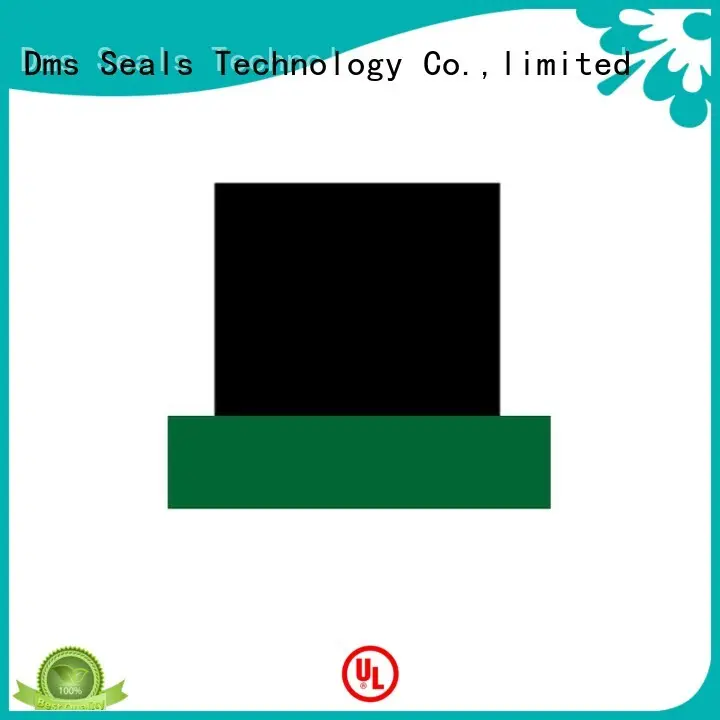 ptfe hydraulic rod rod seals DMS Seal Manufacturer Brand company 1