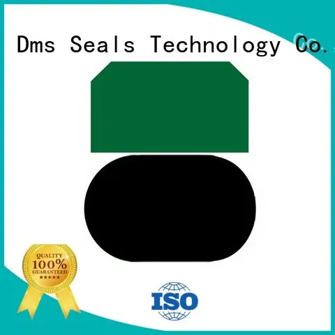 pneumatic piston seals ptfe hydraulic Warranty DMS Seal Manufacturer 1