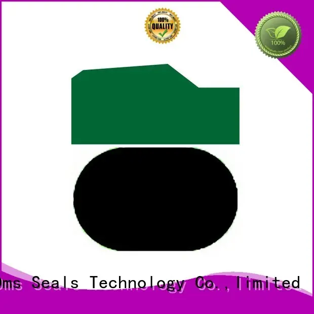 DMS Seal Manufacturer Brand hydraulic piston custom pneumatic piston seals 1