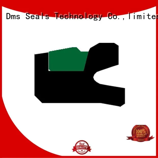seal piston piston seals oring DMS Seal Manufacturer Brand company 1