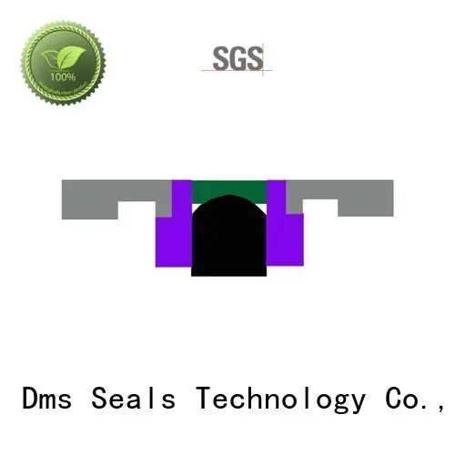 Quality DMS Seal Manufacturer Brand oring seal piston seals 1