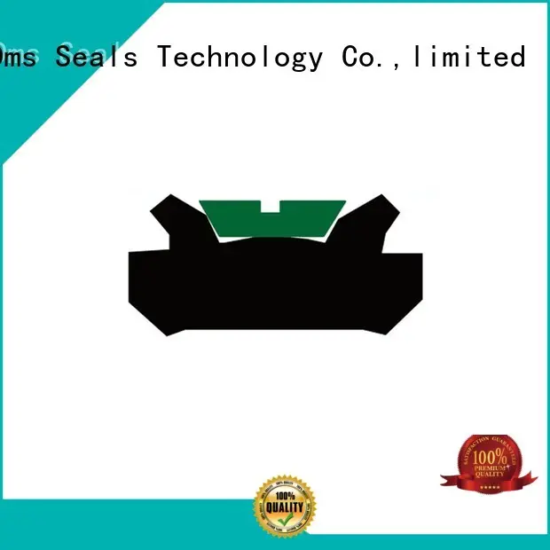 Hot hydraulic pneumatic piston seals seal DMS Seal Manufacturer Brand 1