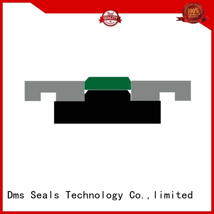 pneumatic piston seals ptfe oring Bulk Buy nbrfkm DMS Seal Manufacturer 1