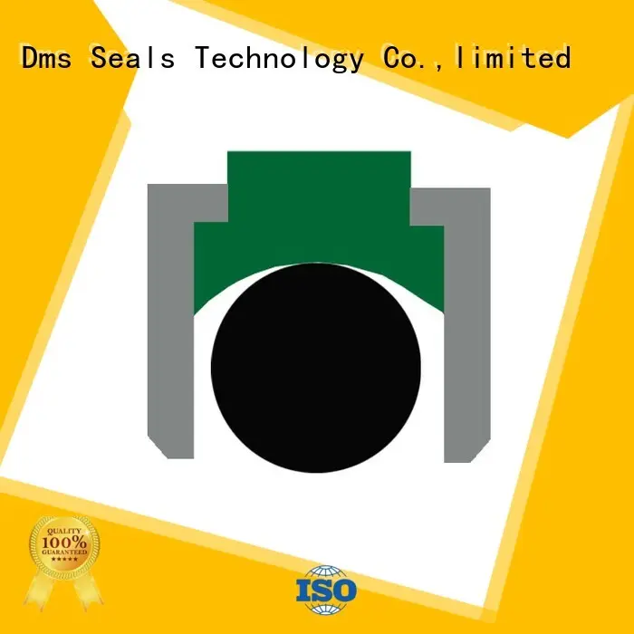 seal oring OEM piston seals DMS Seal Manufacturer 1