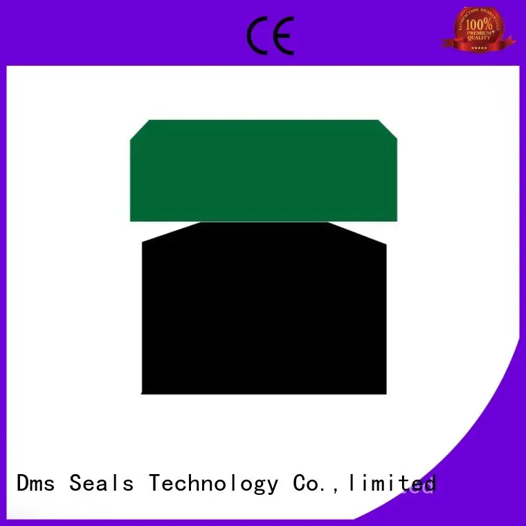DMS Seal Manufacturer Brand piston hydraulic pneumatic piston seals oring 1