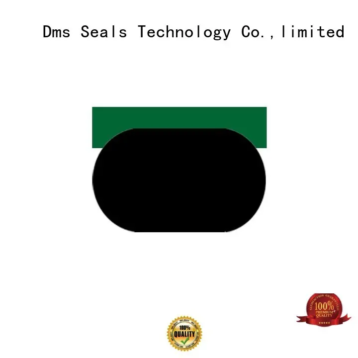 DMS Seal Manufacturer Brand oring piston seal custom pneumatic piston seals 1