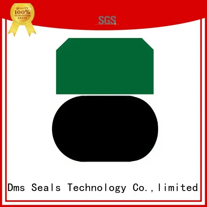 piston nbrfkm seal DMS Seal Manufacturer Brand piston seals 1