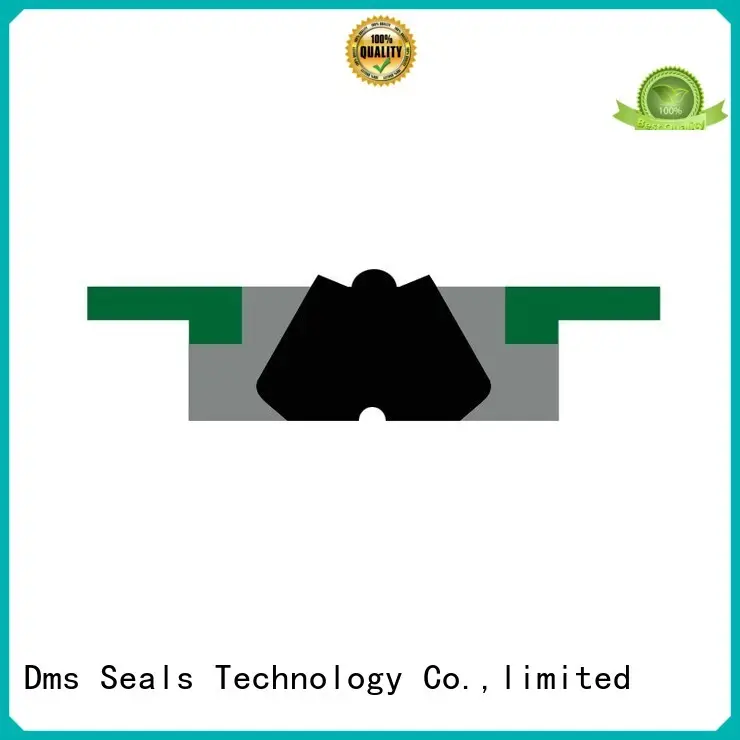 oring seal hydraulic DMS Seal Manufacturer Brand piston seals 1