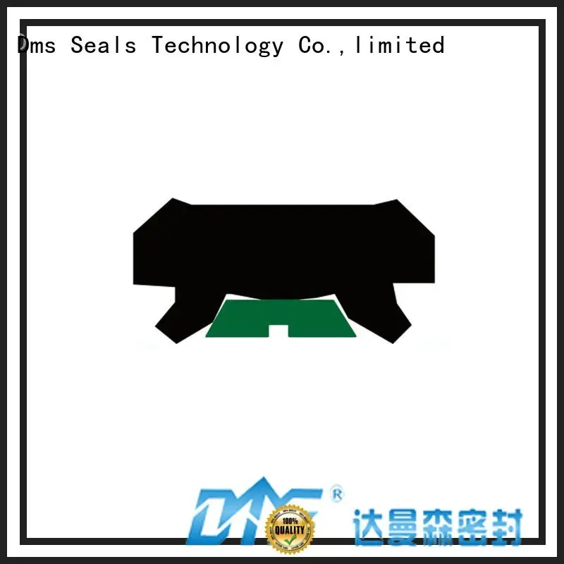 Custom ptfe rod seals oring DMS Seal Manufacturer 1