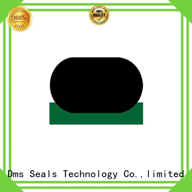 hydraulic rod seals nbrfkm rod DMS Seal Manufacturer Brand rod seals 1