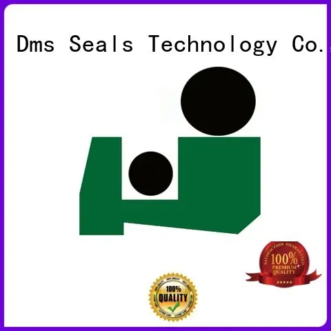 scraper Custom ptfepu hydraulic scraper seals DMS Seal Manufacturer oring 1