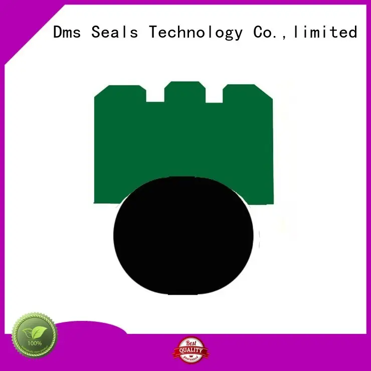 oring Custom seal nbrfkm rotary seals DMS Seal Manufacturer ptfe 1