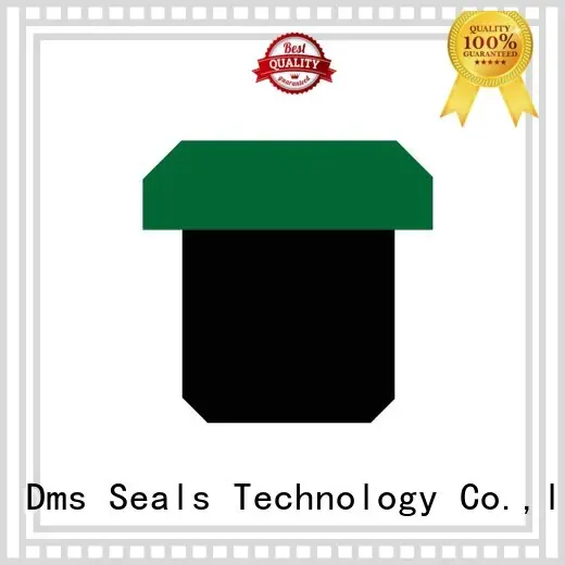 seal piston oring pneumatic piston seals DMS Seal Manufacturer manufacture 1