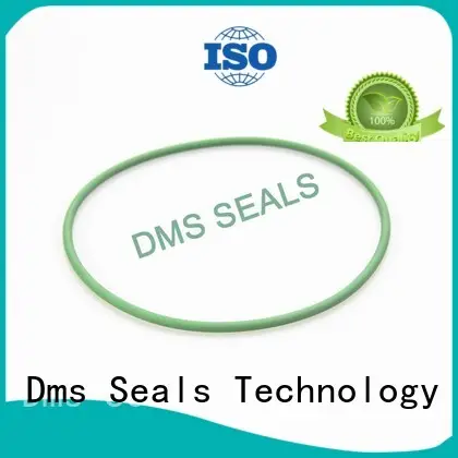 DMS Seal Manufacturer Brand hydraulic oil seal ring seal supplier 1