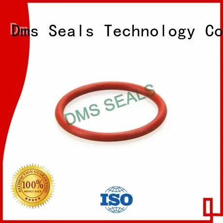 oil seal ring seal oring o-ring seal DMS Seal Manufacturer Brand 1