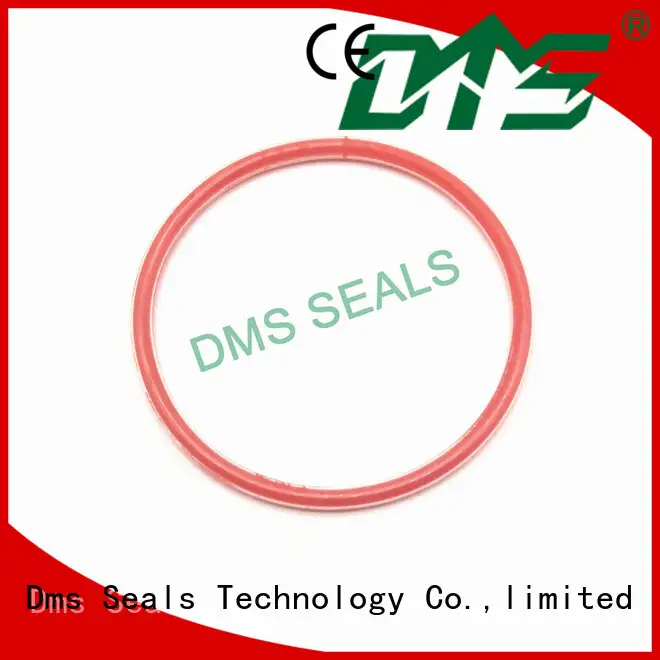 ptfe o-ring seal hydraulic DMS Seal Manufacturer company 1