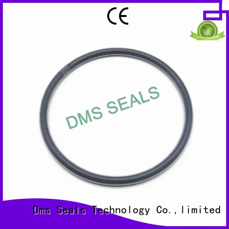 hydraulic ptfe spring OEM o-ring seal DMS Seal Manufacturer 1