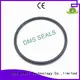 hydraulic ptfe spring OEM o-ring seal DMS Seal Manufacturer 1
