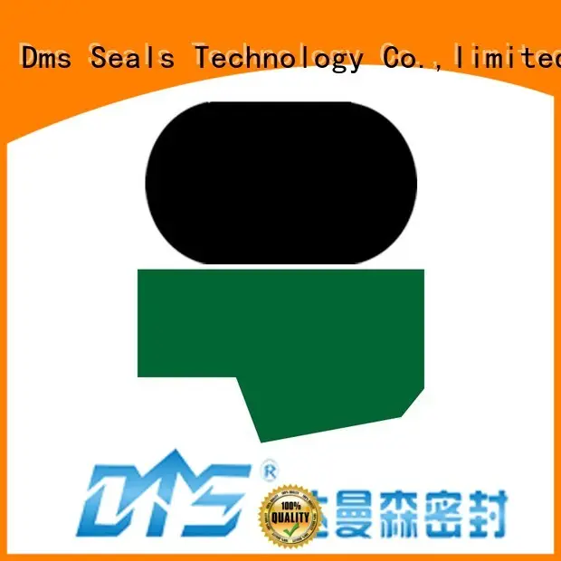 nbrfkm hydraulic seal hydraulic rod seals DMS Seal Manufacturer Brand 1