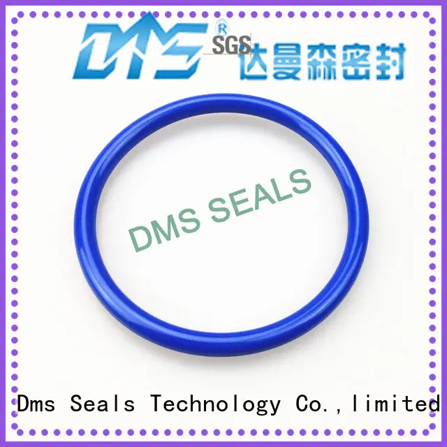 oil seal ring hydraulic spring seal DMS Seal Manufacturer Brand company 1