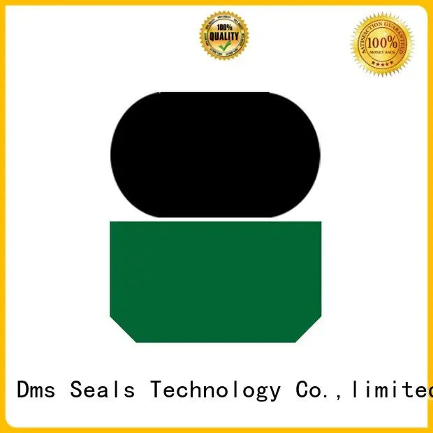 seal nbrfkm ptfe rod seals rod DMS Seal Manufacturer 1