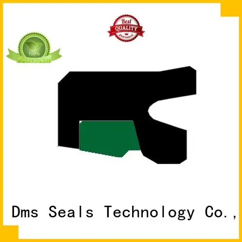oring hydraulic hydraulic rod seals DMS Seal Manufacturer manufacture 1