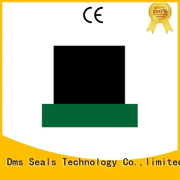 DMS Seal Manufacturer Brand nbrfkm hydraulic rod seals oring factory 1