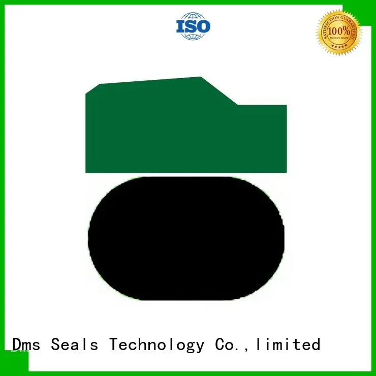 pneumatic piston seals piston seal Bulk Buy hydraulic DMS Seal Manufacturer 1