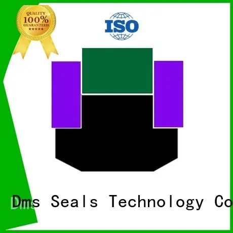 DMS Seal Manufacturer Brand seal nbrfkm piston pneumatic piston seals ptfe 1